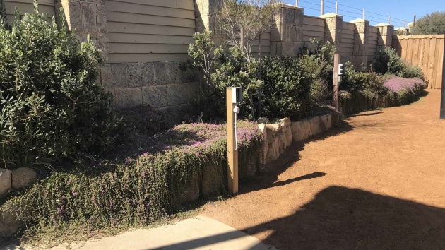 Shrubs and a purple-flowering groundcover in a garden bed edged with stone blocks, beside a gravel path and a stone block fence
