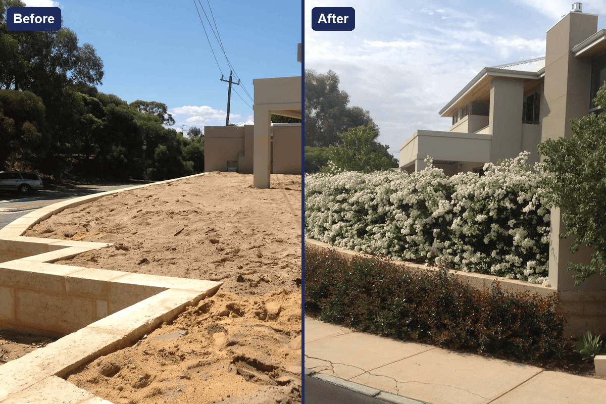 Before and after photos of a Perth garden renovation by Landscapes For Life