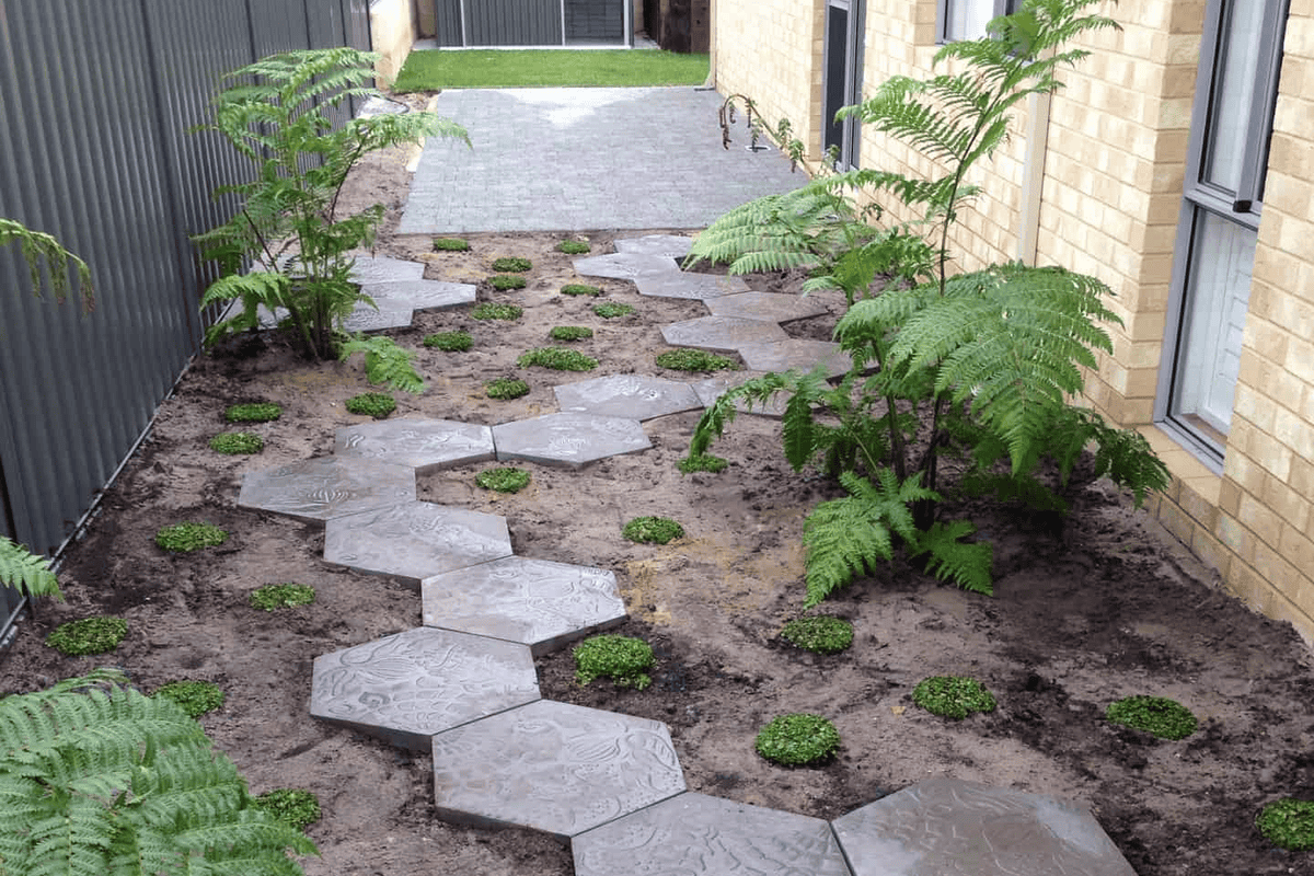Side alley with hexagonal stepping stones, tree ferns and groundcover plants at a Perth home, by Landscapes For Life