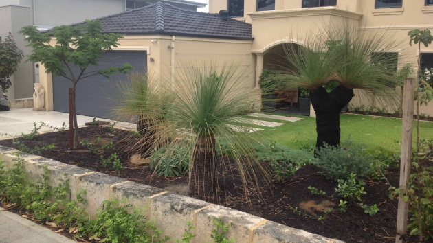 Perth front garden with a limestone wall, grass trees, planting and mulch, by Landscapes For Life