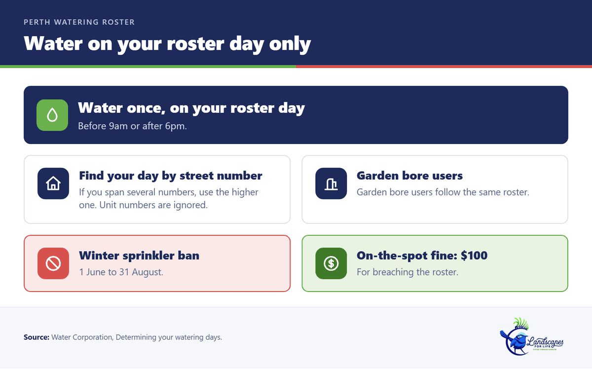 Perth watering roster card: water once on your roster day before 9am or after 6pm, sprinkler ban 1 June to 31 August, $100 fine