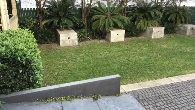Communal garden with a lawn, cycads set along concrete planter blocks, a low retaining wall and cobble paving