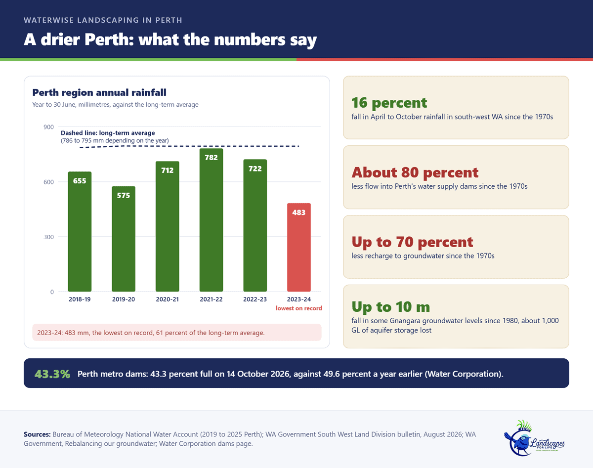 Bar chart of Perth region annual rainfall against the long-term average, with tiles showing the decline in rainfall, dam inflow and groundwater recharge since the 1970s