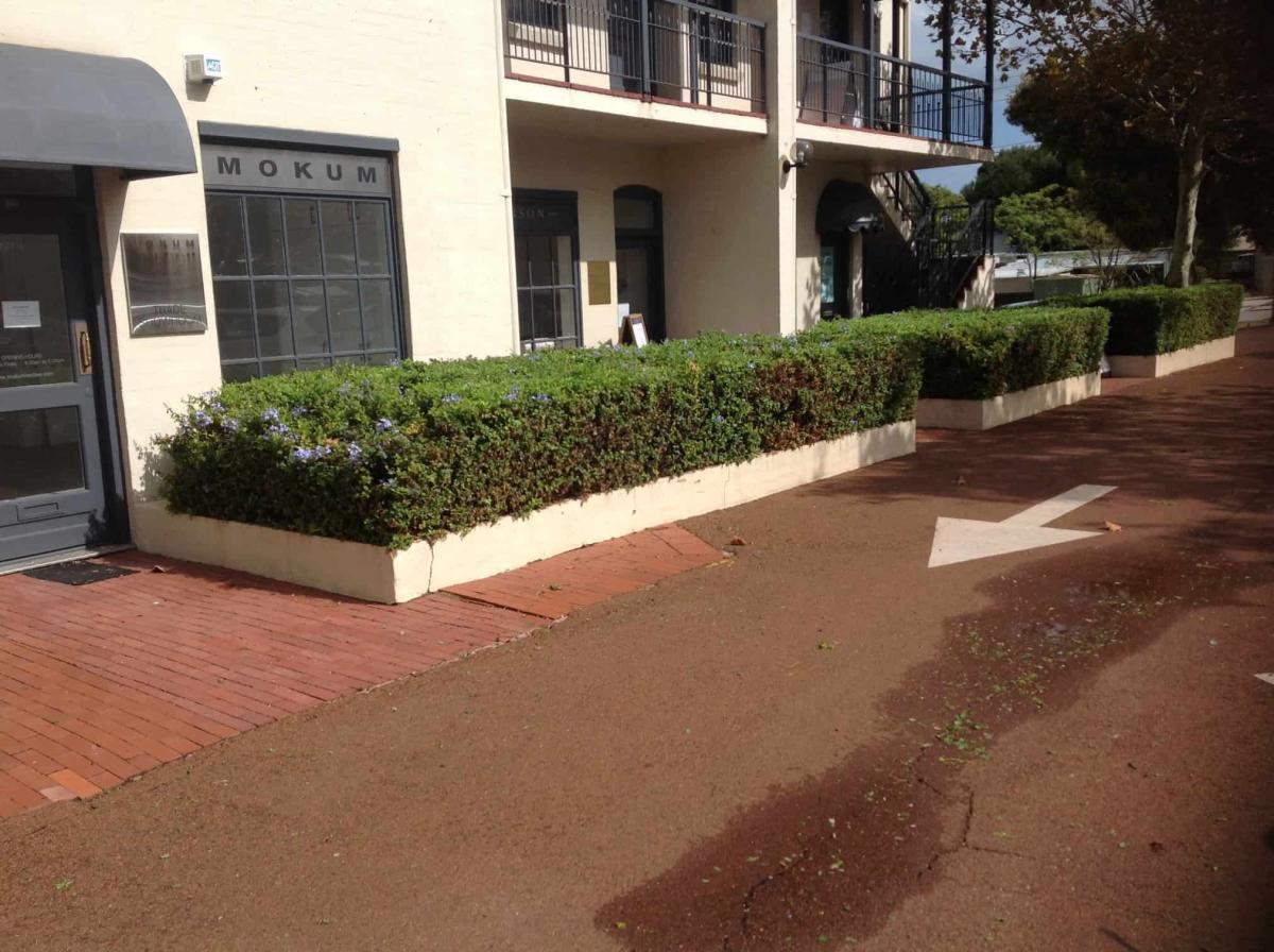 hedge maintenance at Chelsea Village